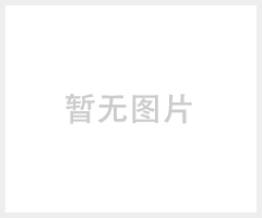 供应BAD82防爆无极灯I/II